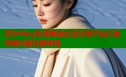 灵汐Vlog引领潮流生活分享平台打造专属内容社群体验